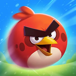 Bird Games